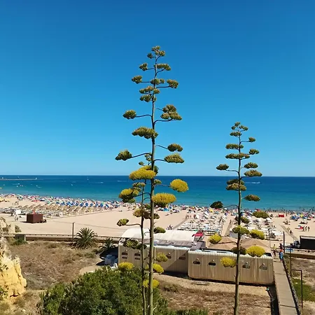 Luxury 5 Min With Balcony, Pool, Wifi, Ac, Smarttv * بورتيماو